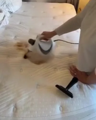 La tête large et sa bonnette passées sur un textile compatible